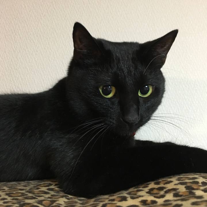 236c5c16 209a 4564 9703 f1357686d988