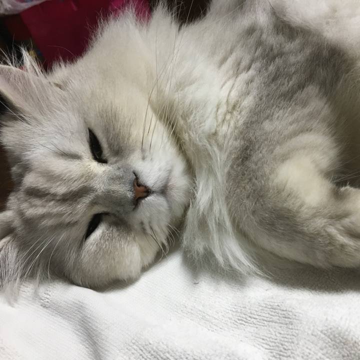 236cc4b5 0fa9 45f6 825d 525e506b556e