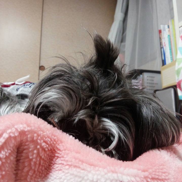 236d273e add2 4c31 a2d0 3b21a5fdd12e