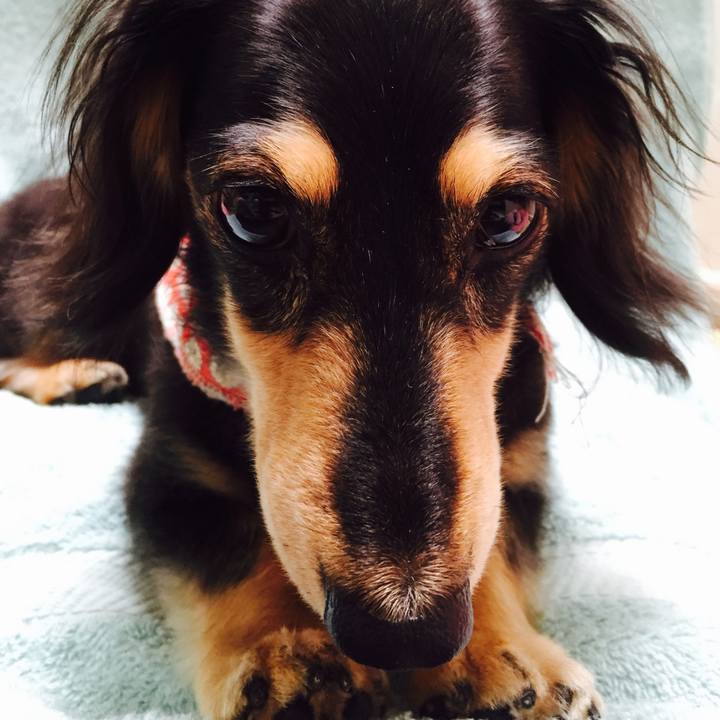 236d33d5 1926 4cde b388 e3db30293f02