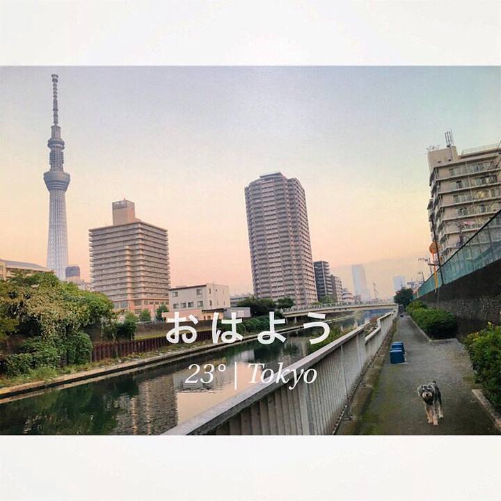 236d84d1 22a0 44c4 afe0 8c12b0bcd155