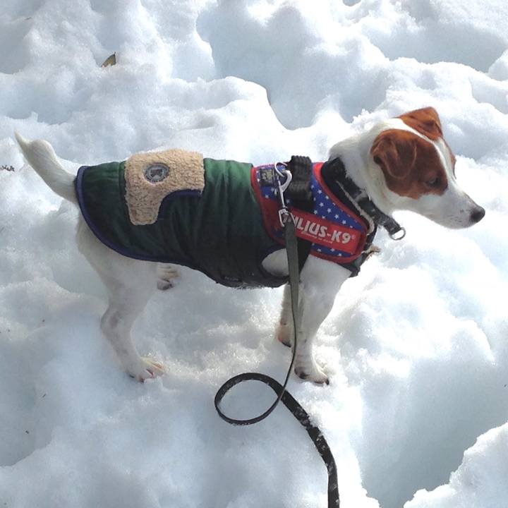 236dfa7c bb3d 4e47 a80c 57016a409748