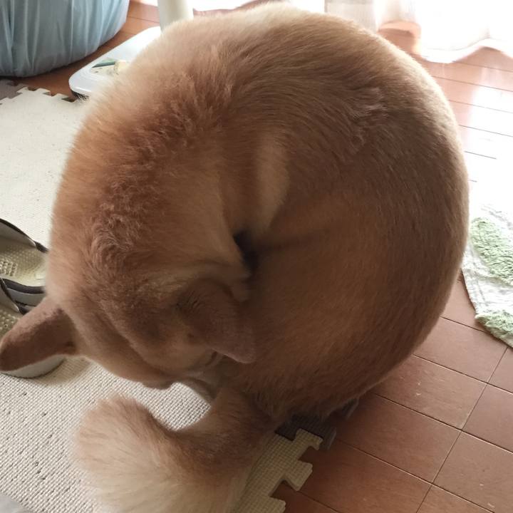 236e4816 e036 47cf 96fb c3219c9ac603