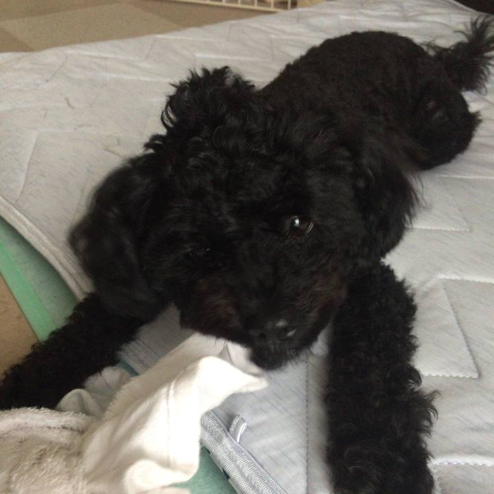 236ea7dd 02e6 4b19 8d48 cd73533f0cf7