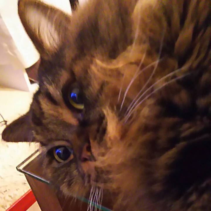 236eac1a 2ede 4190 9c01 7470a6ac0211