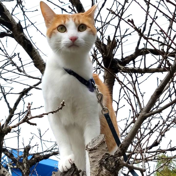 236f2ea2 e1eb 4832 b2a2 7223f3c82b71