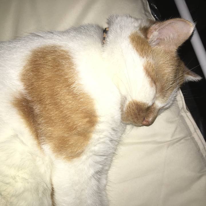 236f32e9 20c8 4ba1 89a4 3612be644f29