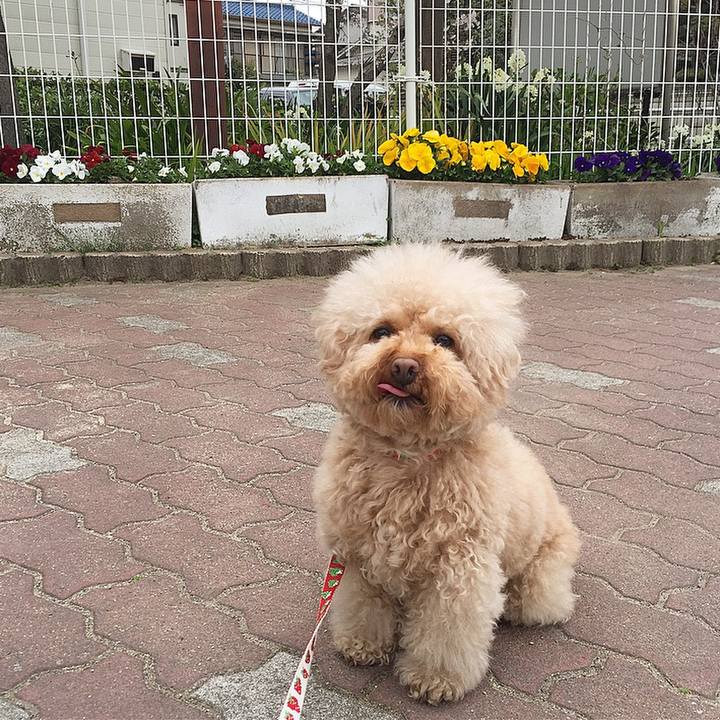 236fd4a0 6b2a 436b b9b7 07c74e513a1f