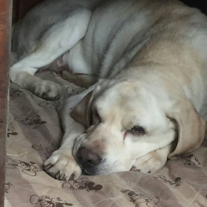 236ffb6b fac4 43ef b5d2 f5545bd67534