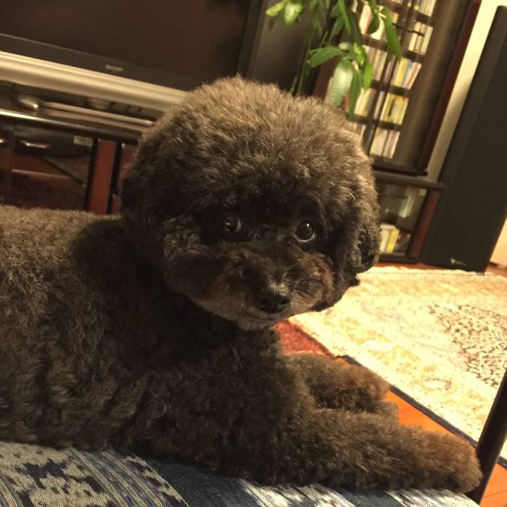 2370da1a 4de1 47ee b8c6 d6dd76c00f39