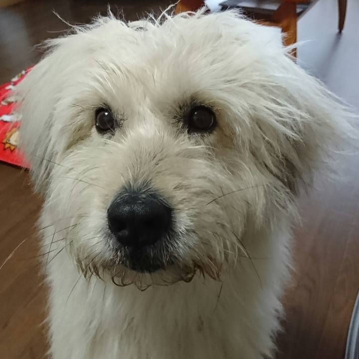 2371890c d751 42ef bdc7 bd14ea85c3ae