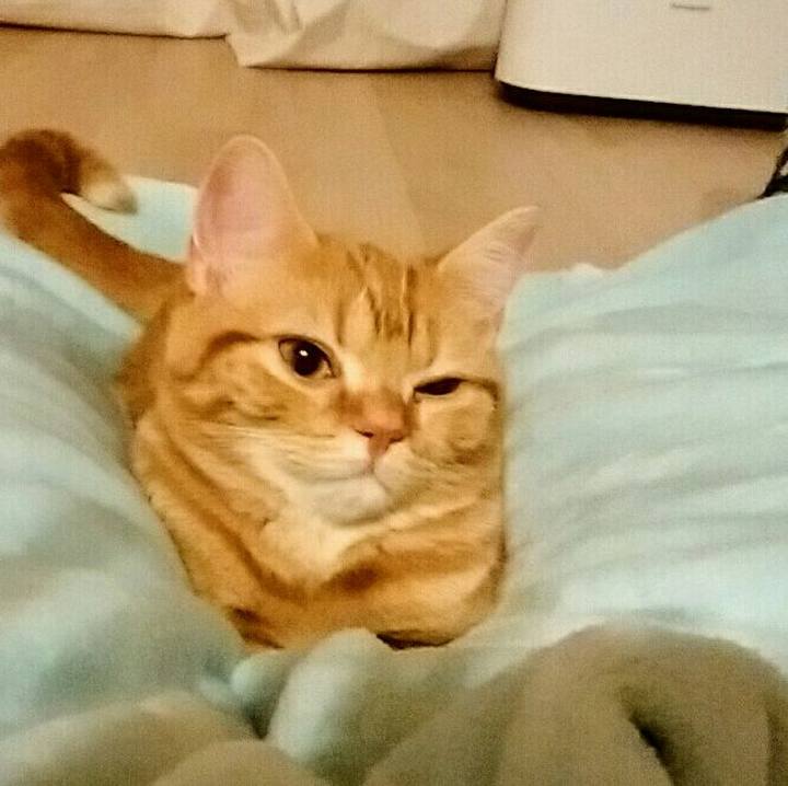 2372a5d0 ead1 4d4d 8506 2ad2cc095954