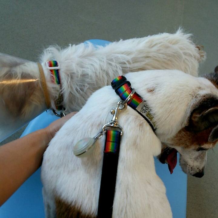 2373c976 e9e5 48bc 843c 68c8d0374e8b