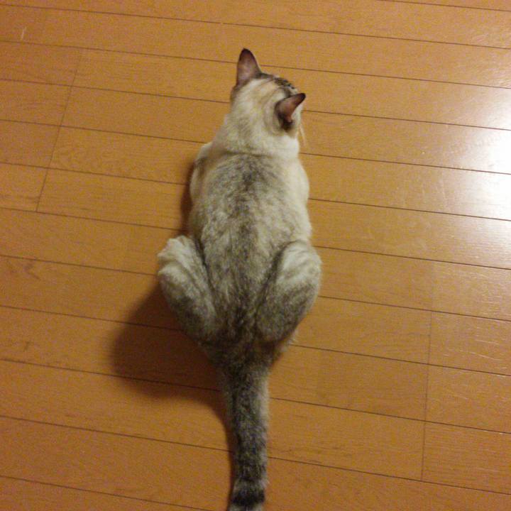 2373ff79 0d35 4d91 a294 34e99ce6cdff