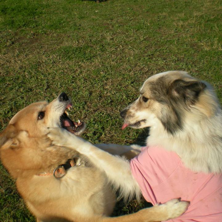 237404e8 6bb5 4382 a106 d2a7c3de7b5d