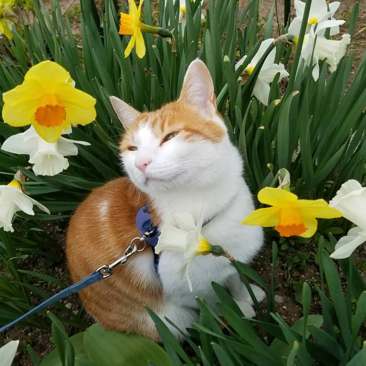 23742c3a 64ff 4c1d aef1 72c163560602