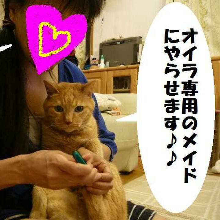 2374b294 8f1d 4839 b2ba 11e110297161