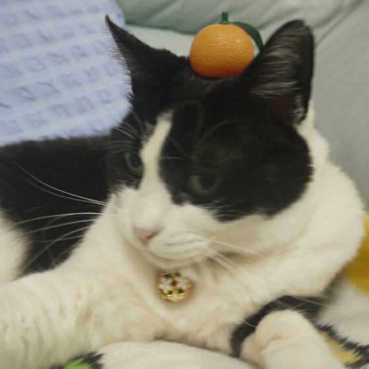 23751e15 dd97 42e6 9e8f 20b17421f27f