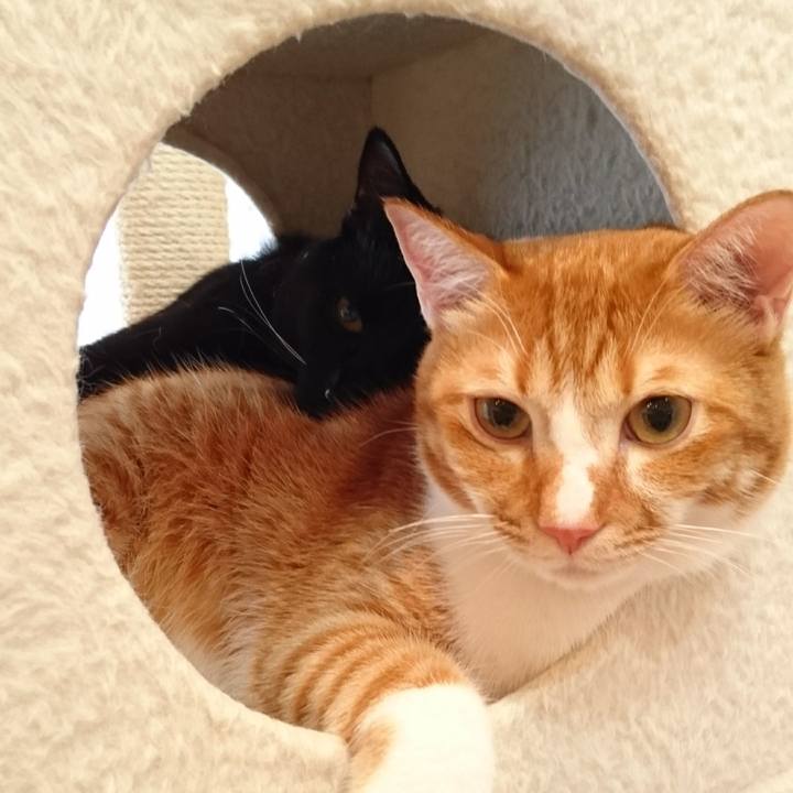 23755d01 c547 4835 a9c6 2cf620fcaeb7