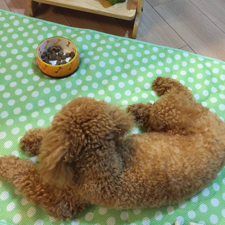 23756f43 e45f 4fcf b598 61646500617b