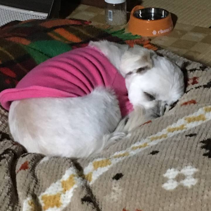 23757e0b 7587 499c b50a 3cf0c925ea70