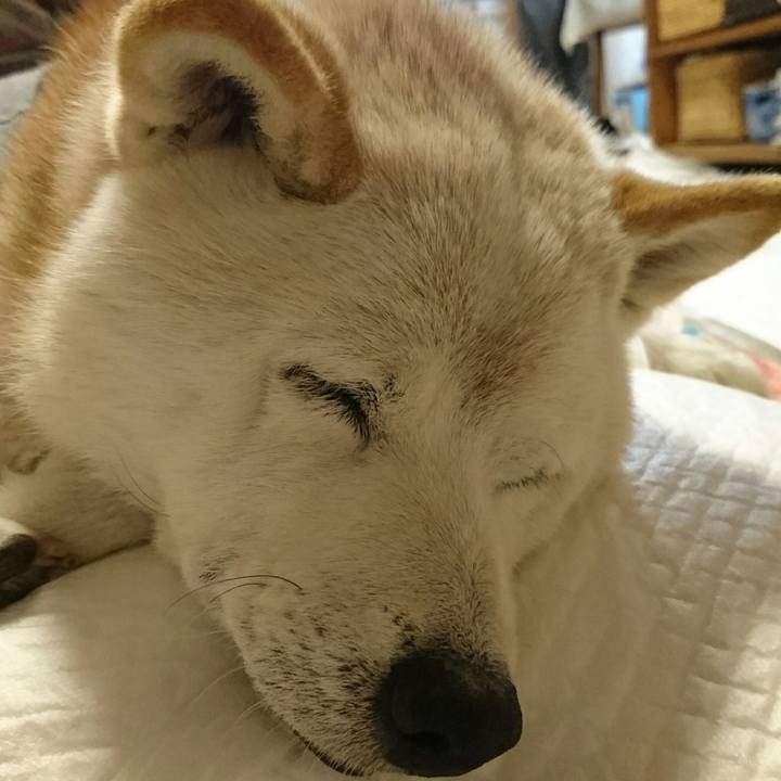 2375d45e 729f 4293 8dce 3bd85e5e9c8e