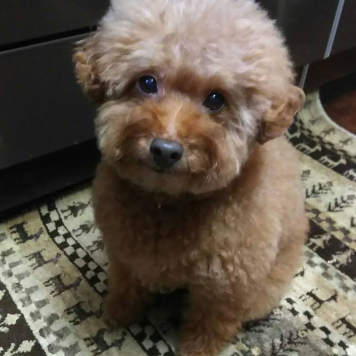 2376cf75 4106 41f6 ba67 447d9e168e55