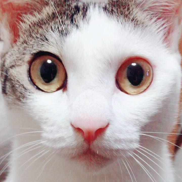 2376f082 0828 4310 837e cad242a53cd4