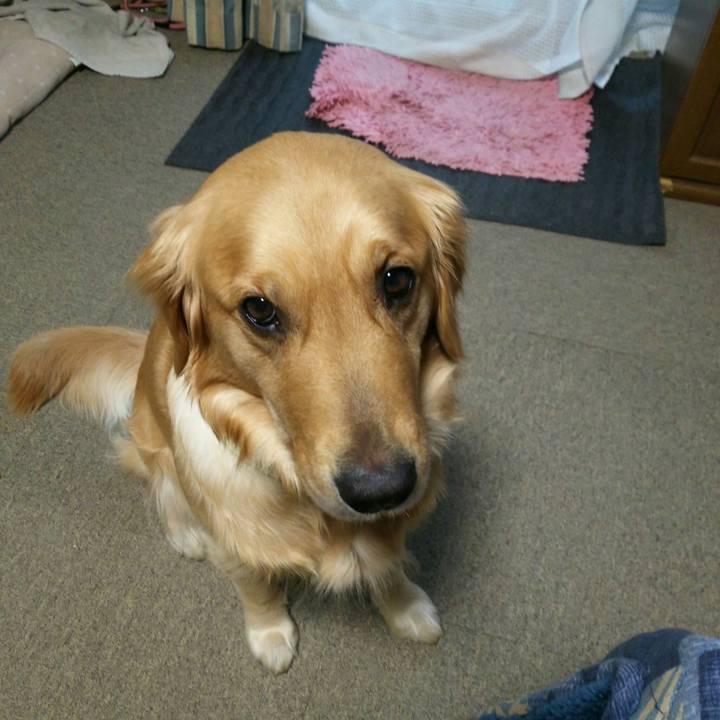 2377913e d6d3 4e4a a688 25eb2d4377b4