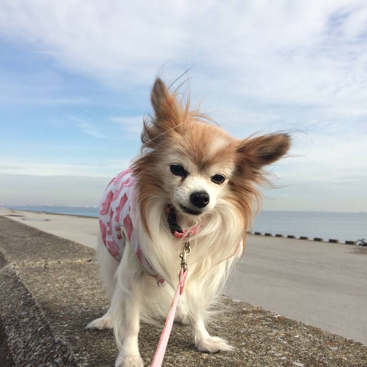 2377d9ed 0517 4935 8539 eb63670eebb7