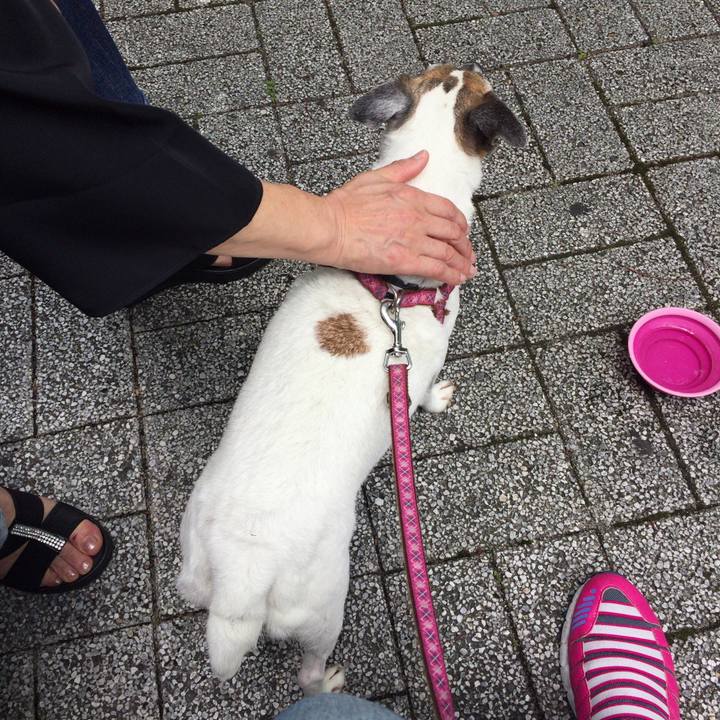 2378c642 492a 4bda 89cb 6c334cd37dc9