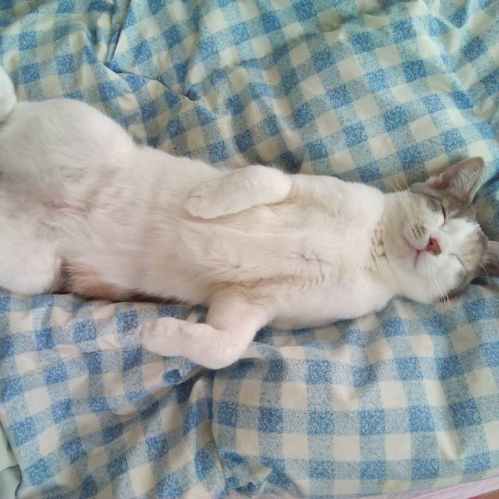 237919a7 19d0 4665 b6bd 8c15b4e5bbc2