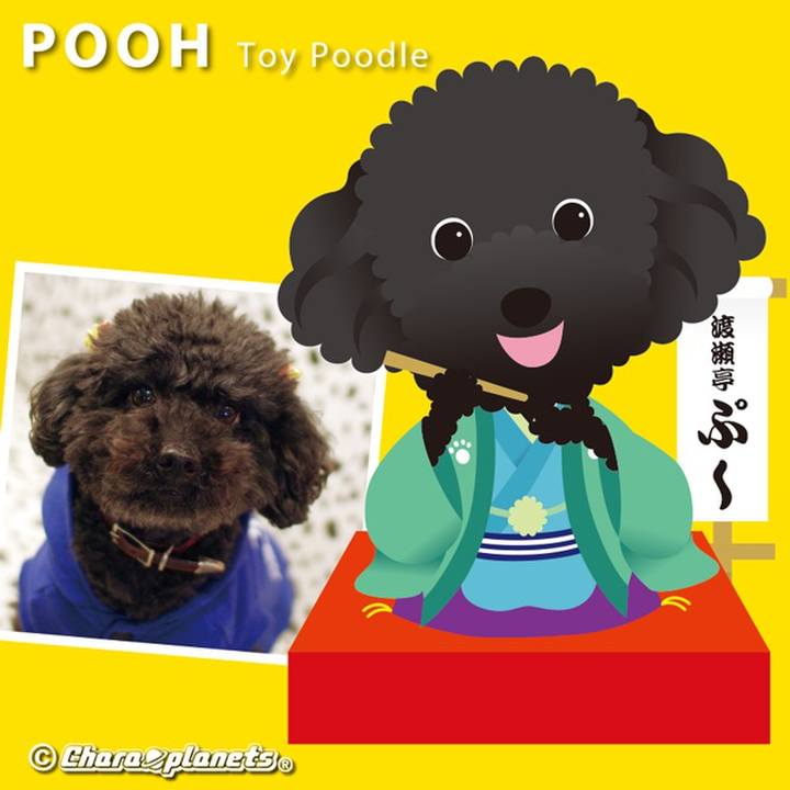 237a6764 8d28 4062 9e21 afc523a0906b