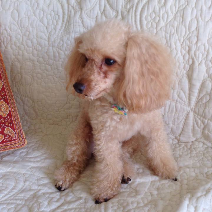 237a931e 4eeb 4623 a209 d258ae1e1d4f