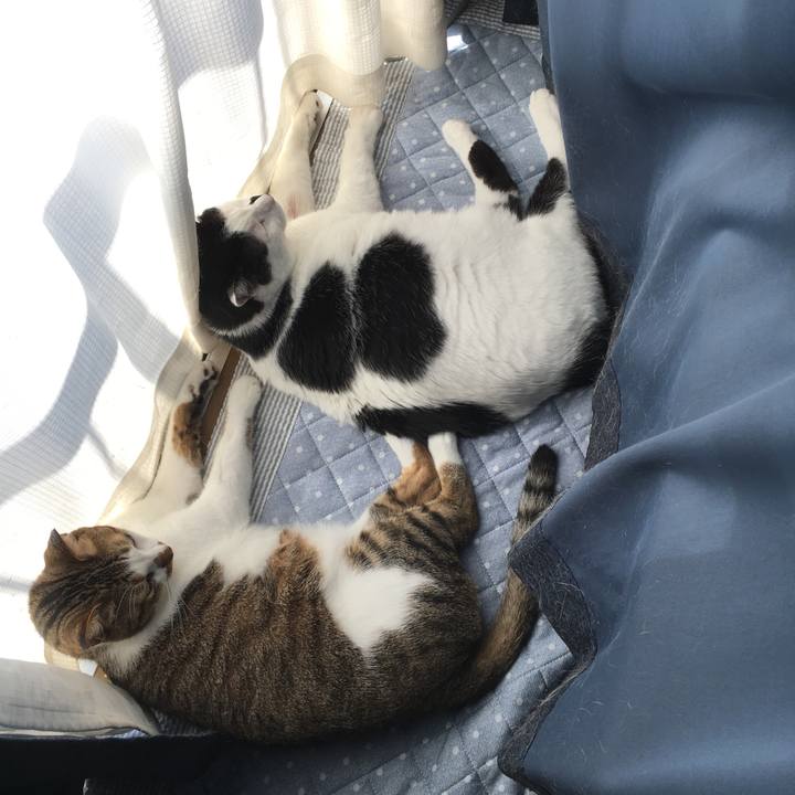 237aa492 7412 4d07 be89 89fc4a0837c1