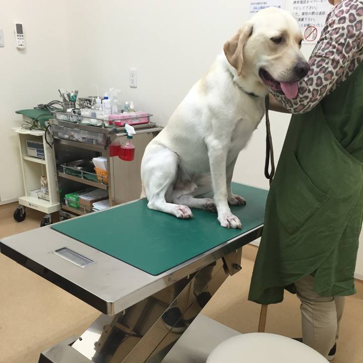 237b6dc8 ea45 4719 89a5 e0b448a086bf