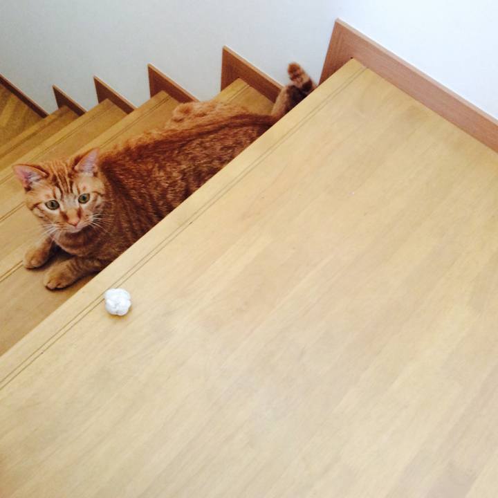 237b95a7 249d 4428 bc28 d066af9b3c6a