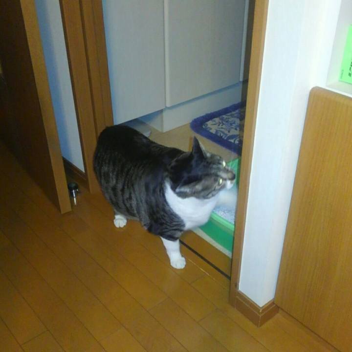 237bd5f9 4e9f 4613 8552 957271d74546