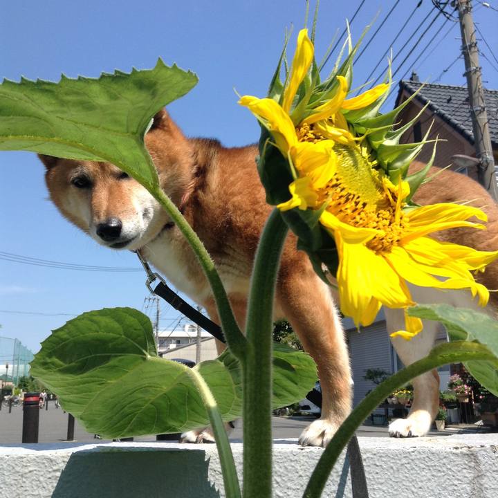 237c4386 2f38 413c a919 8d4e8734072b