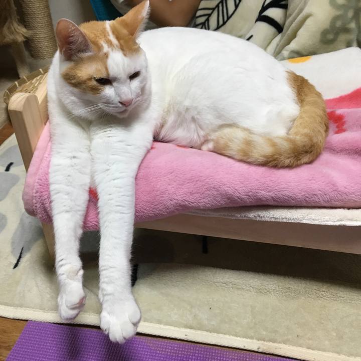 237c7893 a18d 404e bd17 ad2fc4a66c73