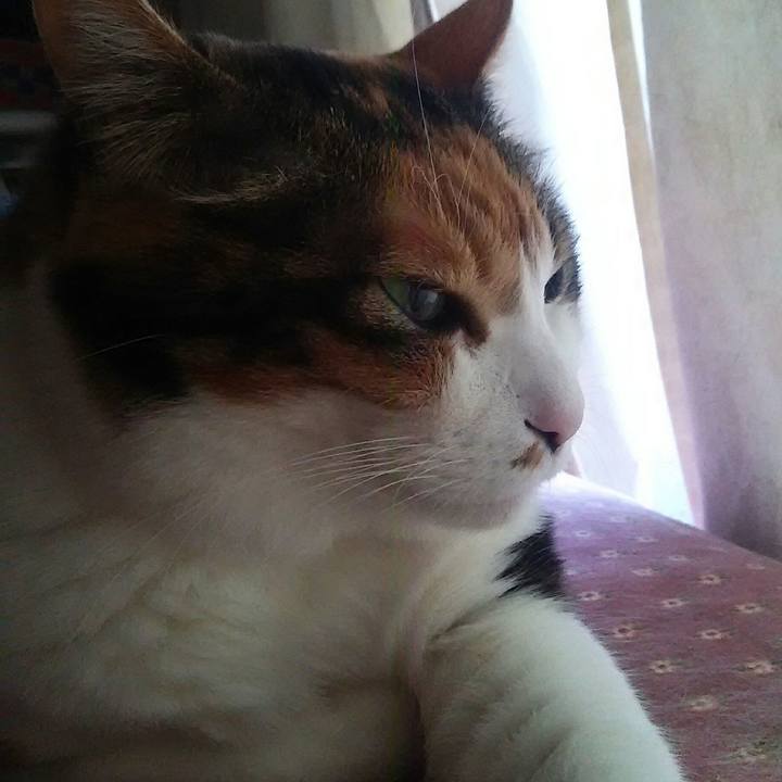 237cd858 7fe7 44e1 9122 398426e19098