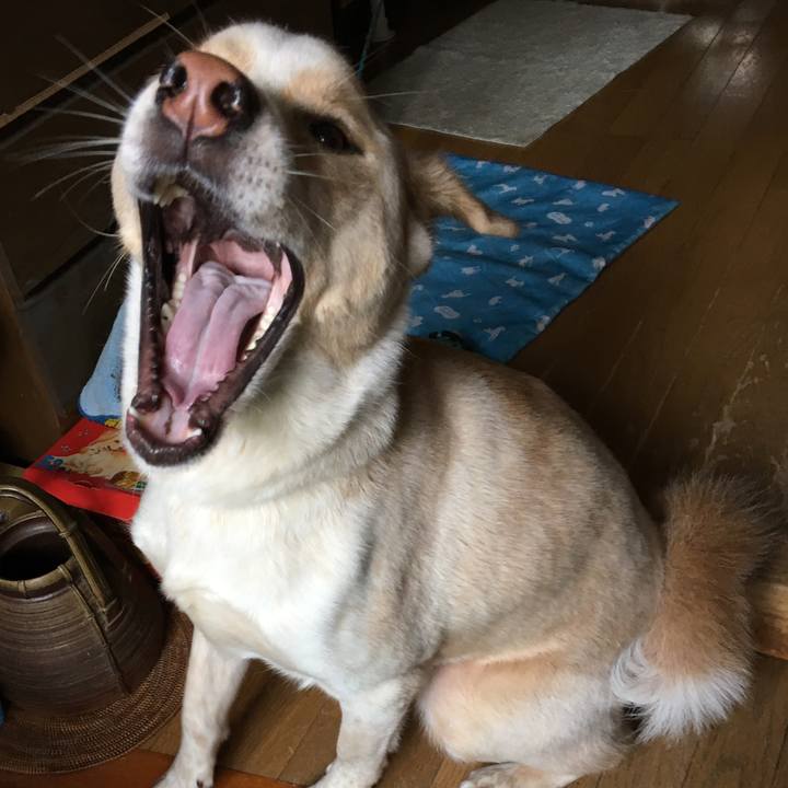 237d26b5 e026 4e5f 8c17 7e5c9f52f9b2