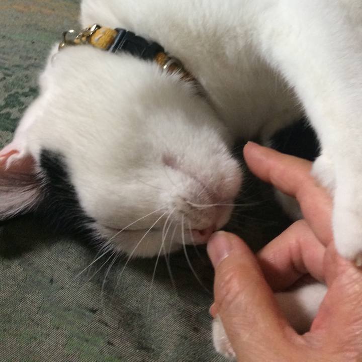 237d5d13 bf7f 42ba 8662 5facb871c5a1