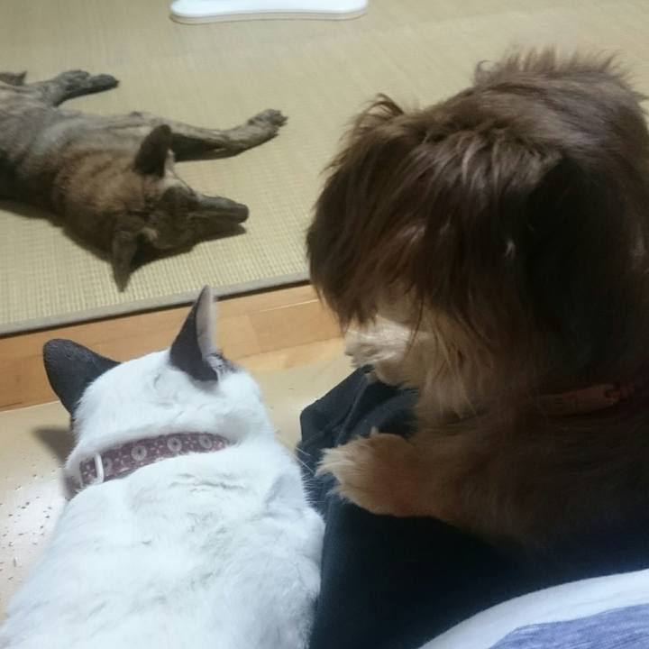 237d9a3e bdfc 48dd 90bf 644d8d865a9e