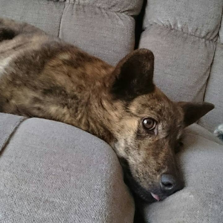 237fb150 26bf 46d5 b4c4 7ed1845d4c83