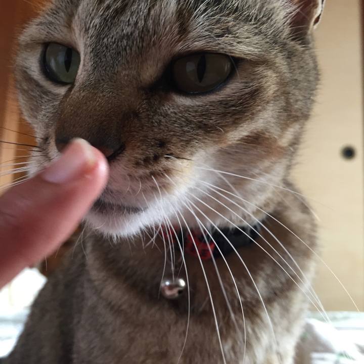 2380ee97 0759 432b b99b 56570fab2225