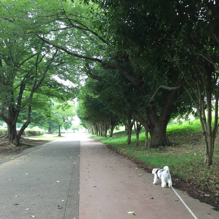 23815e1d e600 4dfd b6e9 12b2bb79fbf8