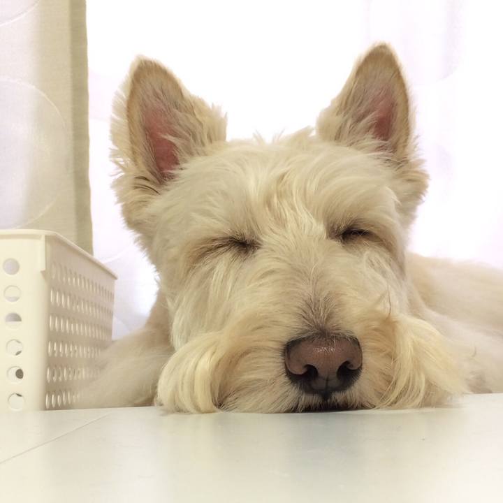 23817d72 eb23 4559 9569 efc22e50a9f0