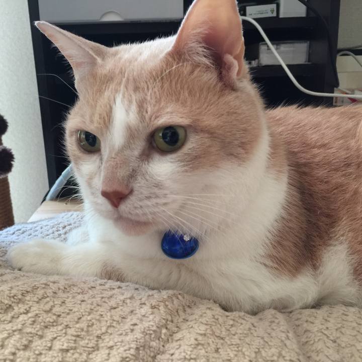 238290bd 826a 4aa0 8590 55b86dda7869