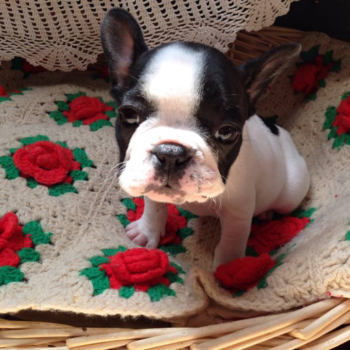 2382ac68 47cf 41b5 9f4d 2dee2deb6f81